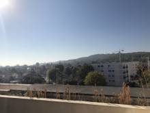 Vue